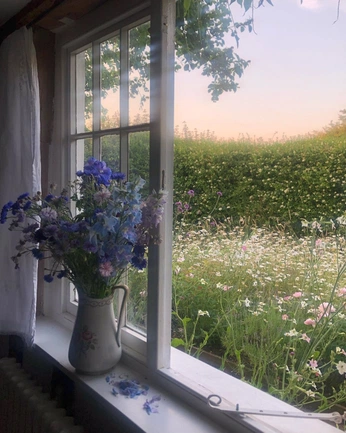 A cover of "🌼Spring💐" cluster. The owner is bellebarlow. The cluster consists of 4 elements.