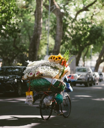 A cover of "florist" cluster. The owner is ashku. The cluster consists of 6 elements.