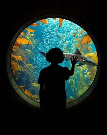 A cover of "aqua" cluster. The owner is aquastoemp. The cluster consists of 16 elements.