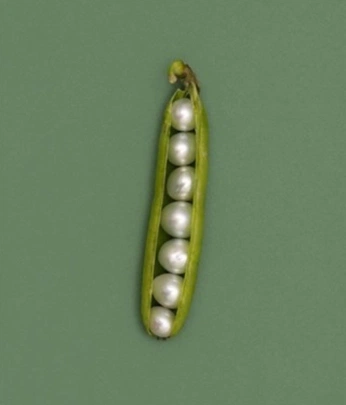 A cover of "Princess and the Frog" cluster. The owner is lunarbee. The cluster consists of 6 elements.