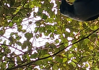 A cover of "break 1" cluster. The owner is nevermindtanay. The cluster consists of 5 elements.