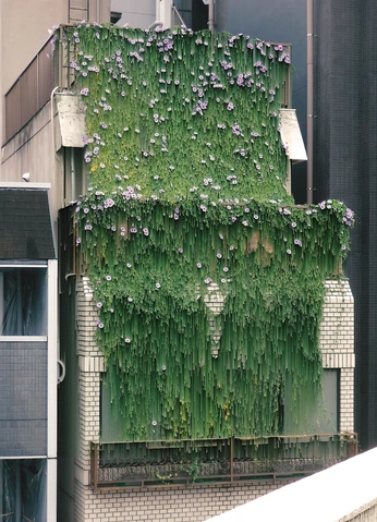 A cover of "Street ecology" cluster. The owner is callmesalo. The cluster consists of 6 elements.