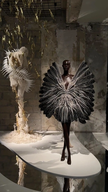 A cover of "Fashion" cluster. The owner is why. The cluster consists of 106 elements.