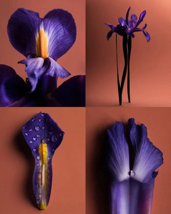 A cover of "Laterier moodboard" cluster. The owner is andreadichi. The cluster consists of 1 element.