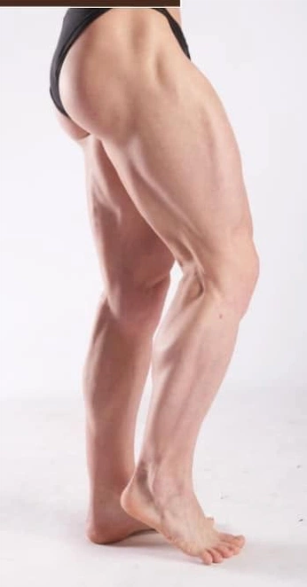 A cover of "Human Ref" cluster. The owner is gummygoo. The cluster consists of 30 elements.