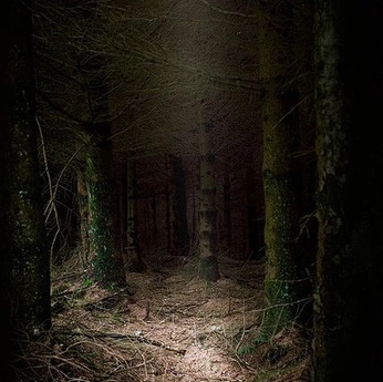 A cover of "Tales of Goldstone Wood" cluster. The owner is ceimral. The cluster description is ""Beyond the final water falling...won't you return to me?"". The cluster consists of 188 elements.