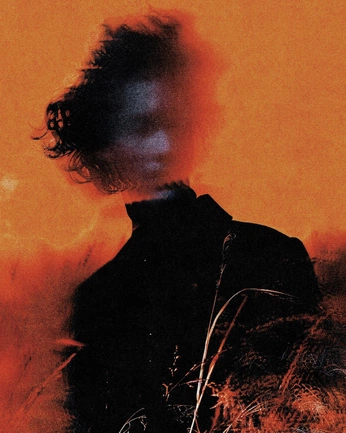 A cover of "Photography" cluster. The owner is palmdreamz. The cluster consists of 5 elements.