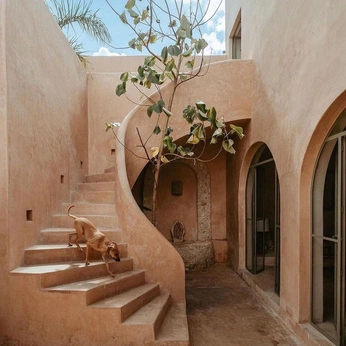 A cover of "spaces" cluster. The owner is arshabarsha. The cluster consists of 31 elements.