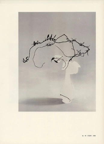 A cover of "virtigo" cluster. The owner is stardustbalcony. The cluster consists of 5 elements.