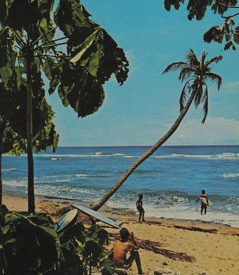 A cover of "DUMP" cluster. The owner is aliciaaa.ch. The cluster consists of 13 elements.