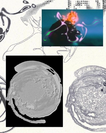 A cover of "Nice design" cluster. The owner is albertabalsam. The cluster consists of 10 elements.