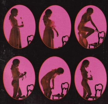 A cover of "The Prickly Parlor" cluster. The owner is nicholas.aceves. The cluster consists of 5 elements.