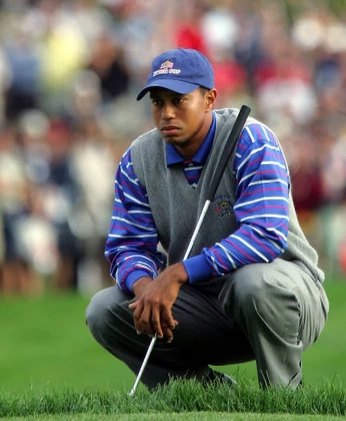 A cover of "Golf Aesthetic" cluster. The owner is dncexoxo. The cluster consists of 1 element.