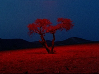 A cover of "+1" cluster. The owner is infinitestills. The cluster description is "Shot. Design. ". The cluster consists of 6 elements.