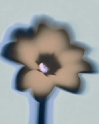 A cover of "Liminal Space" cluster. The owner is weinmaster. The cluster description is "General inspiration I find relatable to who I am creatively. ". The cluster consists of 46 elements.