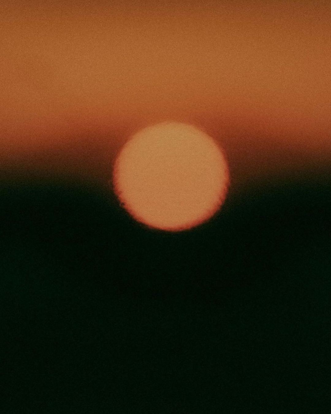 An Instagram  post added on Nov 28, 2024. The author is @sebzanella. May present: circle.