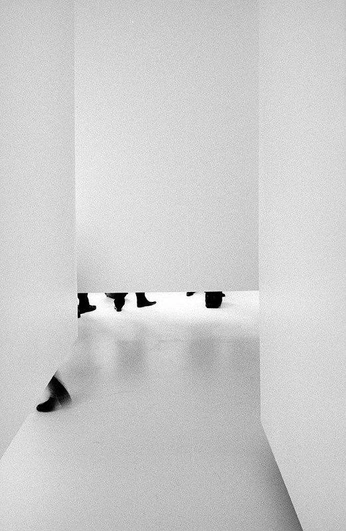 A cover of "exhibition" cluster. The owner is wxcvbn. The cluster consists of 18 elements.