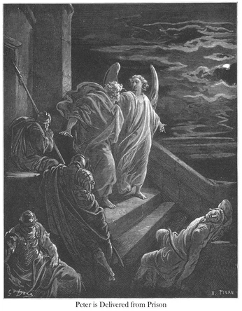 A cover of "Third Year" cluster. The owner is rmills. The cluster consists of 86 elements.