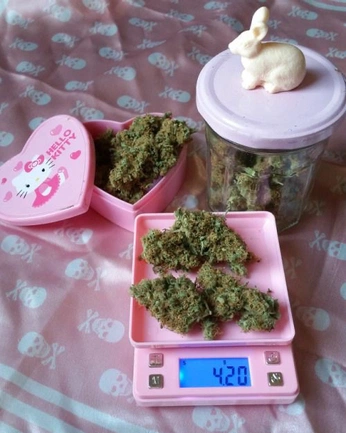 A cover of "cutie.aesth" cluster. The owner is crowo. The cluster consists of 28 elements.