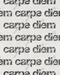 Cover of carpe diem cluster