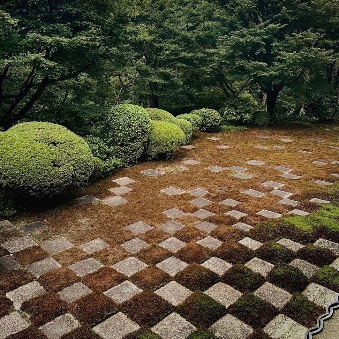 Better covered in moss