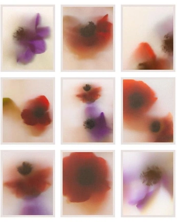 A cover of "Imagery" cluster. The owner is nicotomo. The cluster consists of 118 elements.