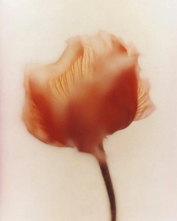 A cover of "marketing" cluster. The owner is loup.dupuis. The cluster consists of 35 elements.