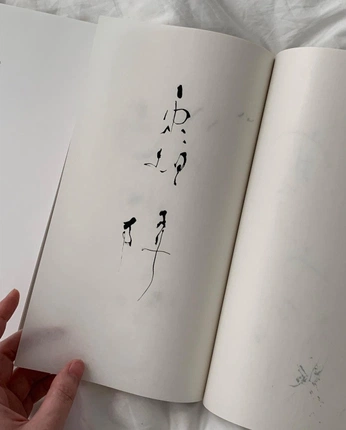 A cover of "Unknown" cluster. The owner is starxboy04. The cluster consists of 5 elements.