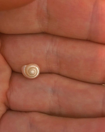 A cover of "Ideas for art" cluster. The owner is gabthegoose. The cluster consists of 1 element.