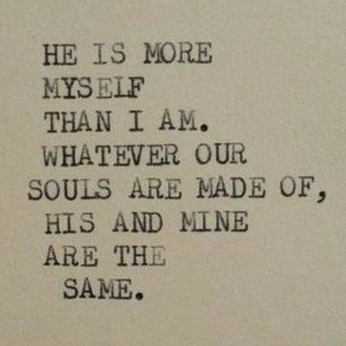 A cover of "words" cluster. The owner is fennel.x. The cluster consists of 15 elements.