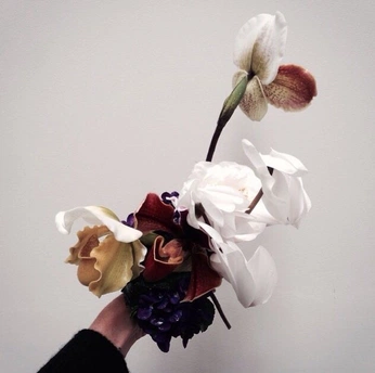 A cover of "Flowers" cluster. The owner is thealgi. The cluster consists of 3 elements.