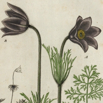 A cover of "the cottage garden" cluster. The owner is professorperfume. The cluster consists of 24 elements.