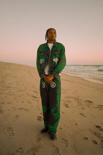 A cover of "lady in green" cluster. The owner is ogunmola. The cluster consists of 3 elements.