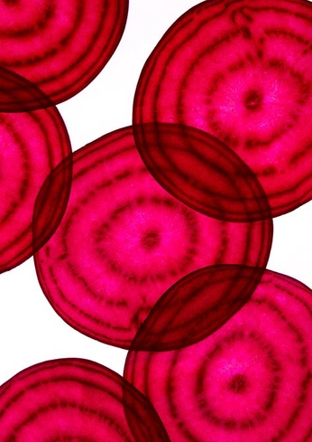 A cover of "Farbz" cluster. The owner is softbranches. The cluster consists of 4 elements.