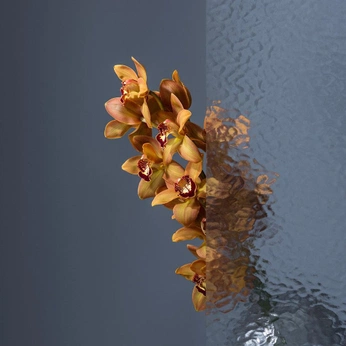 A cover of "Blooming Cosmos" cluster. The owner is innercosmos. The cluster consists of 3 elements.