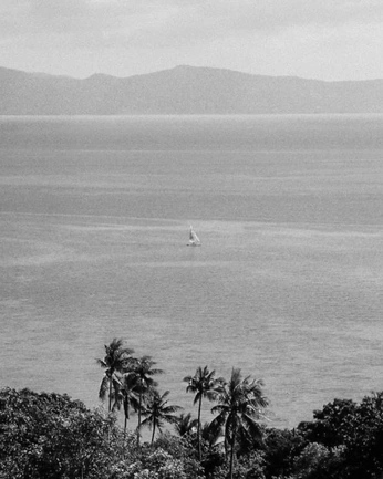 A cover of "Travel" cluster. The owner is nicford. The cluster consists of 4 elements.