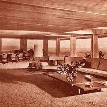 A cover of "IN, EXT - ERIOR" cluster. The owner is arclo. The cluster description is "20TH MIDCENTURY HOUSE ACTUALLY.". The cluster consists of 42 elements.