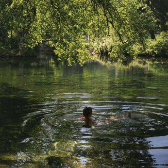 A cover of "the dreamcatcher" cluster. The owner is uptwngirl. The cluster consists of 161 elements.