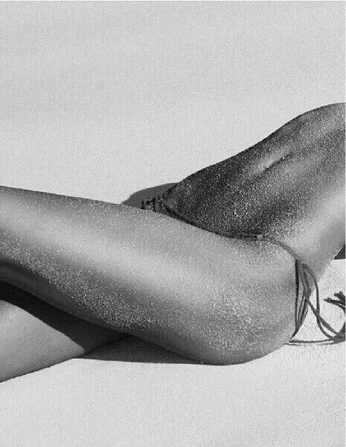 A cover of "El" cluster. The owner is wildanimas. The cluster consists of 34 elements.