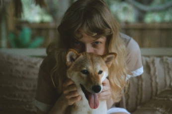 A cover of "Girl and her shiba" cluster. The owner is annpodrobakha. The cluster consists of 3 elements.