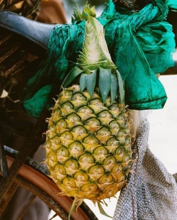 A cover of "Pineapple" cluster. The owner is vasfrolik. The cluster consists of 32 elements.