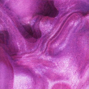 A cover of "Amethyst" cluster. The owner is labcreative. The cluster description is "Caring, Observant". The cluster consists of 26 elements.