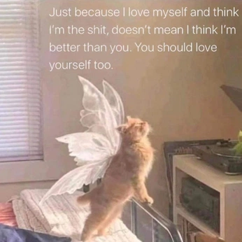 A cover of "THOUGHT DAUGHTER" cluster. The owner is velvetsampledd. The cluster description is "self study". The cluster consists of 61 elements.