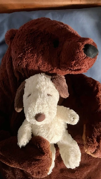 A cover of "house" cluster. The owner is leantofu. The cluster consists of 360 elements.