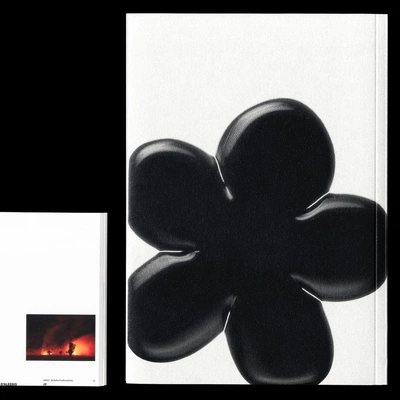 An Instagram  post added on Jan 23, 2024. The author is @visualbleed. May present: petal, studio 5115, flower, plant.