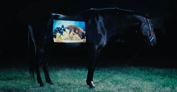 A cover of "Direction Ideas" cluster. The owner is iammanjiit. The cluster consists of 43 elements.