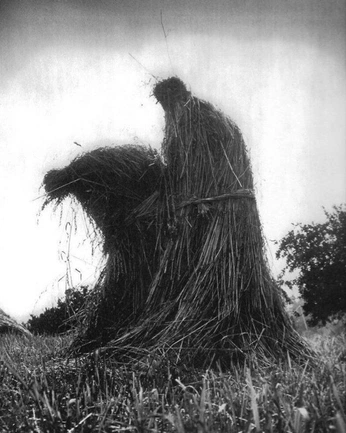 A cover of "Moodboard #3" cluster. The owner is rowane. The cluster consists of 7 elements.