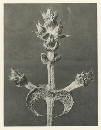 A cover of "public works" cluster. The owner is laterdove. The cluster consists of 4 elements.