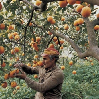 A cover of "like" cluster. The owner is kendallroy. The cluster consists of 1 element.