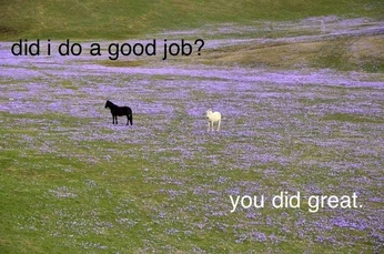 A cover of "Memes" cluster. The owner is bobsnotcutt. The cluster consists of 2 elements.